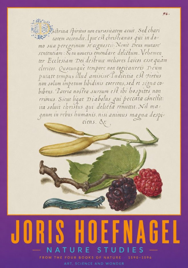 Joris Hoefnagel Nature Studies No2 - Plakat