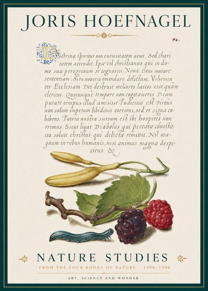 Joris Hoefnagel Nature Studies No3 - Plakat