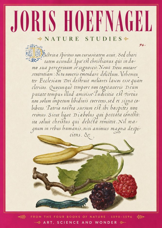 Joris Hoefnagel Nature Studies No6 - Plakat