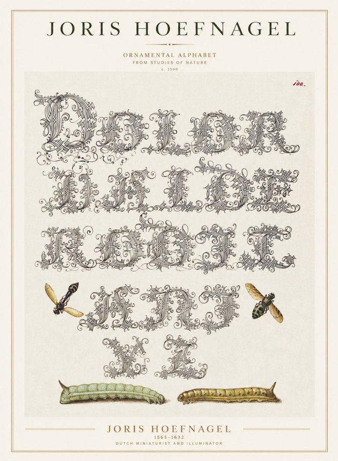 Joris Hoefnagel Ornamental Alphabet from Studies of Nature No1 - Plakat
