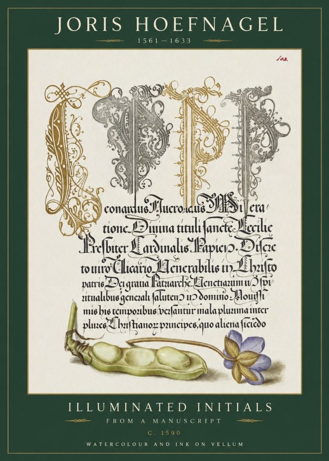 Joris Hoefnagel Illuminated Initials with Peapod and Flower No2 - Plakat