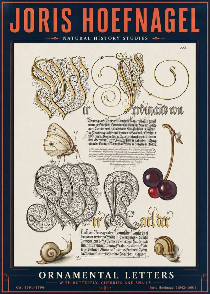 Joris Hoefnagel Ornamental Letters with Butterfly, Cherries and Snails No6 - Plakat