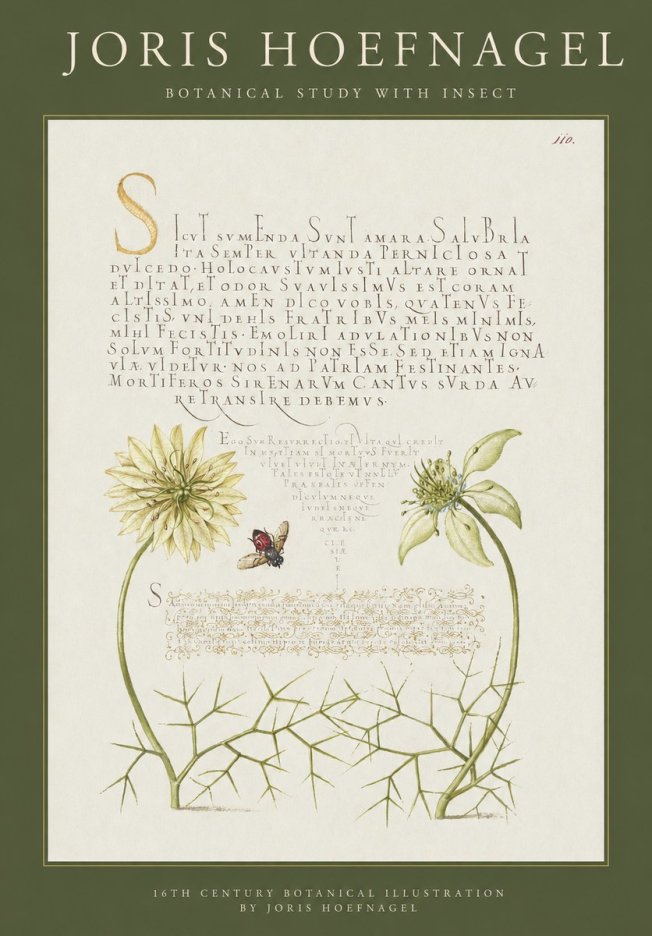 Joris Hoefnagel Botanical Study with Insect No1 - Plakat