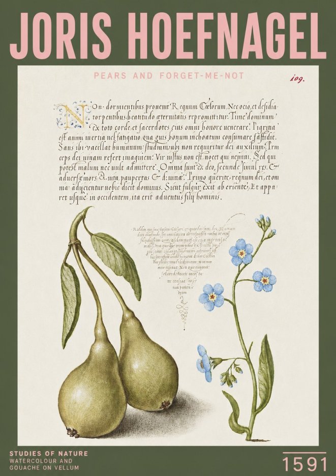 Joris Hoefnagel Pears and Forget-me-not No3 - Plakat