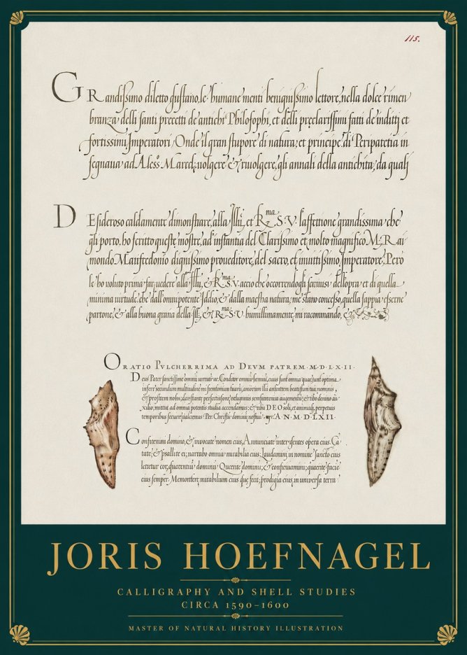 Joris Hoefnagel Study of Shells and Calligraphy No4 - Plakat