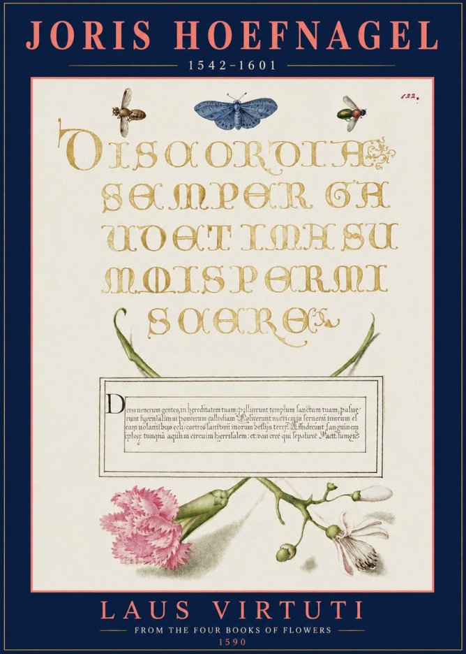 Joris Hoefnagel Laus Virtuti No3 - Plakat