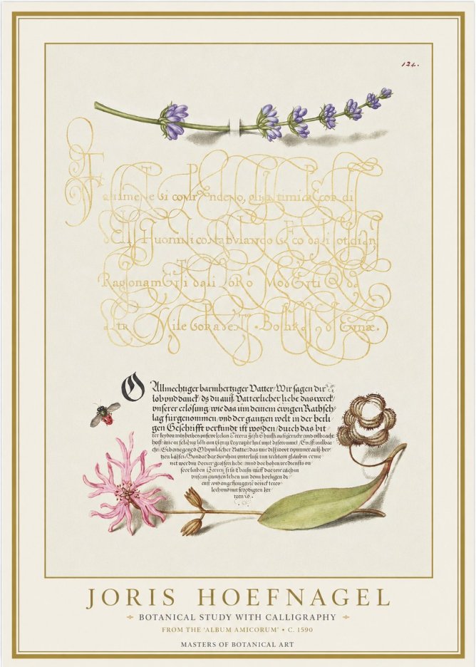 Joris Hoefnagel Botanical Study with Calligraphy IV No1 - Plakat