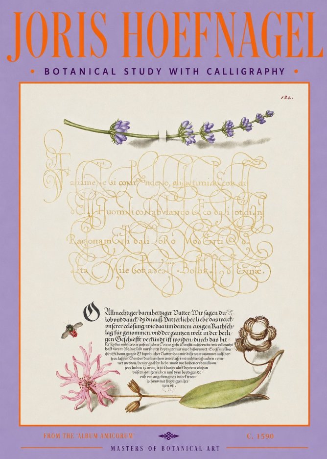 Joris Hoefnagel Botanical Study with Calligraphy IV No3 - Plakat