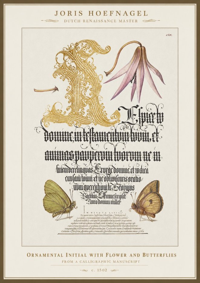 Joris Hoefnagel Ornamental Capital with Flower and Butterflies No5 - Plakat