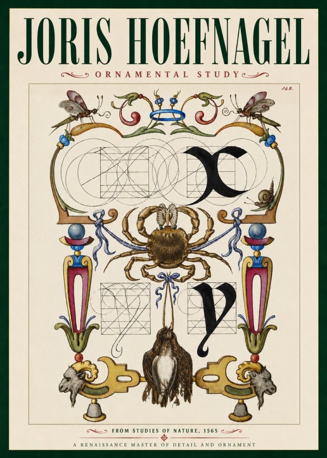 Joris Hoefnagel Ornamental Study II No4 - Plakat