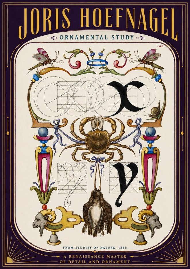 Joris Hoefnagel Ornamental Study II No5 - Plakat