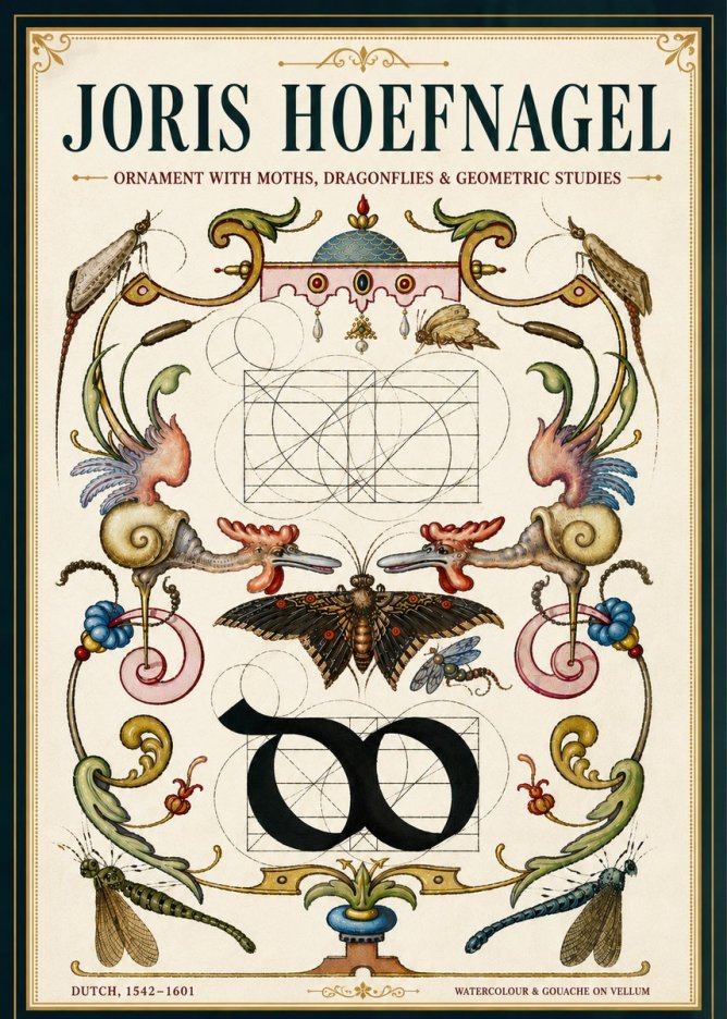 Joris Hoefnagel Ornament with Moths, Dragonflies & Geometric Studies No5 - Plakat