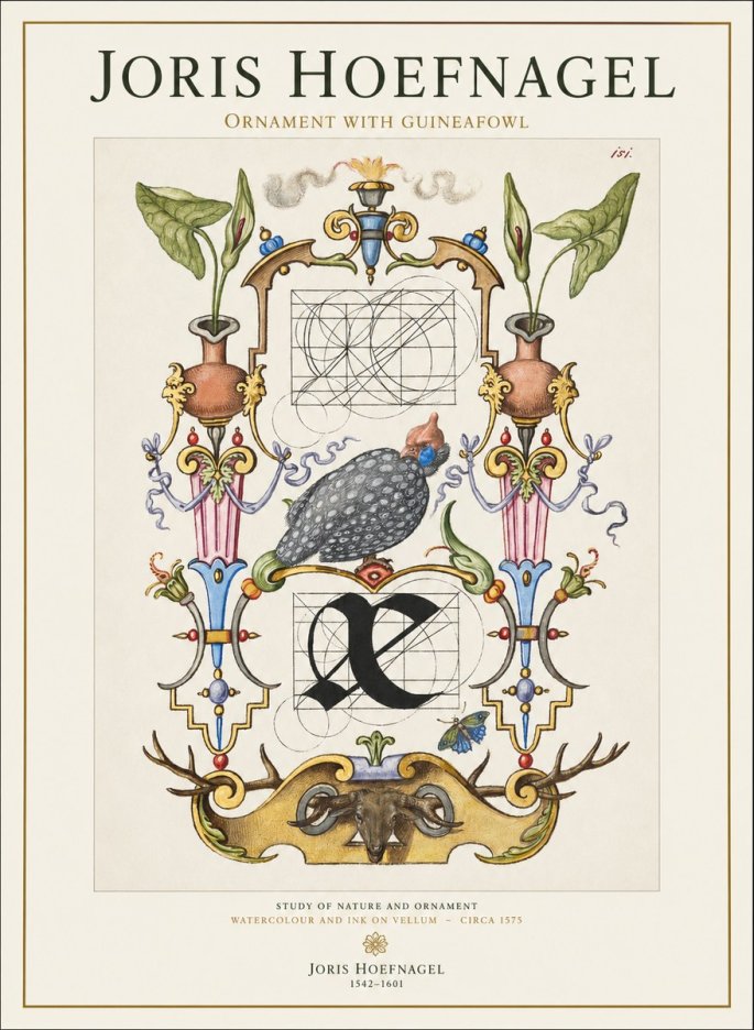 Joris Hoefnagel Ornament with Guineafowl No1 - Plakat