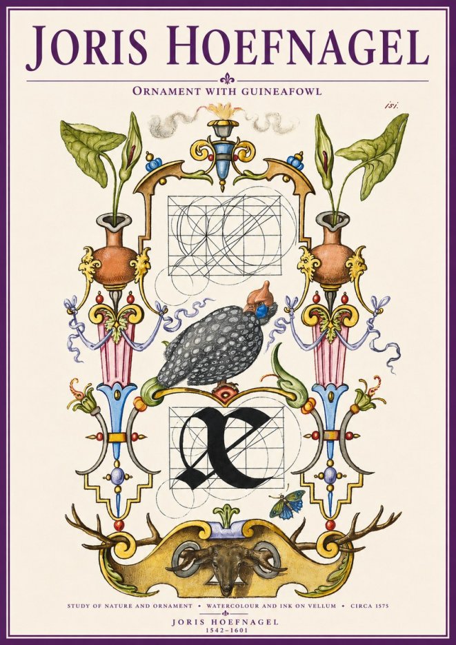 Joris Hoefnagel Ornament with Guineafowl No3 - Plakat