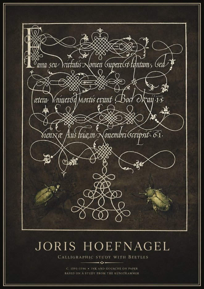 Joris Hoefnagel Calligraphic Study with Beetles No1 - Plakat