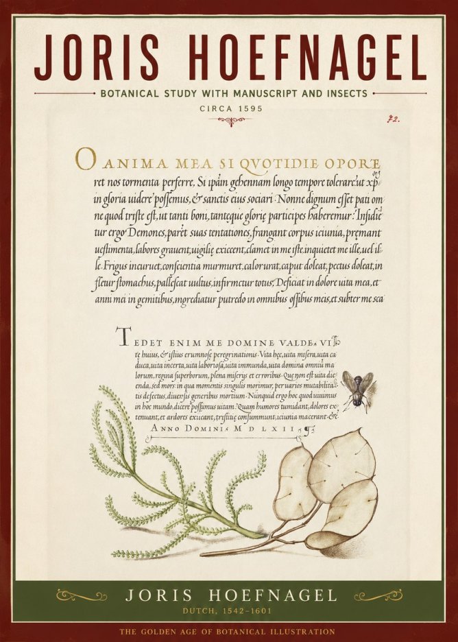 Joris Hoefnagel Botanical Study with Manuscript and Insects No2 - Plakat