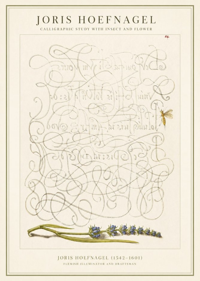 Joris Hoefnagel Calligraphic Study with Insect and Flower No1 - Plakat