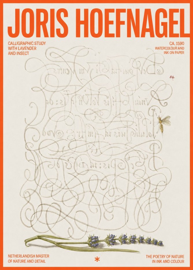 Joris Hoefnagel Calligraphic Study with Insect and Flower No6 - Plakat