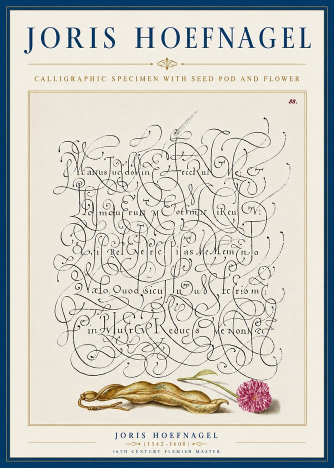 Joris Hoefnagel Calligraphic Specimen with Seed Pod and Flower No5 - Plakat