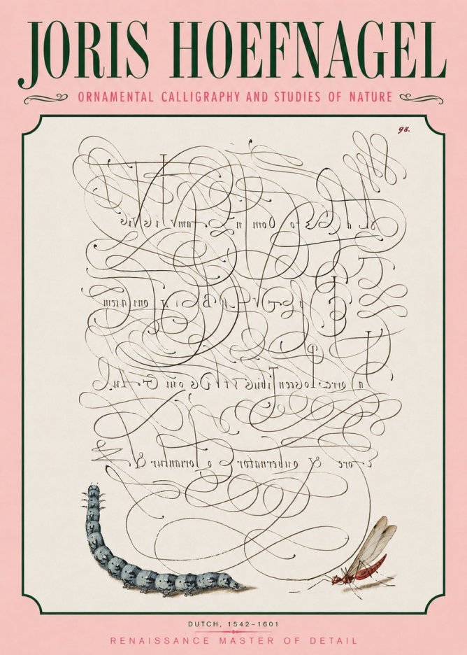 Joris Hoefnagel Ornamental Calligraphy and Studies of Nature No3 - Plakat
