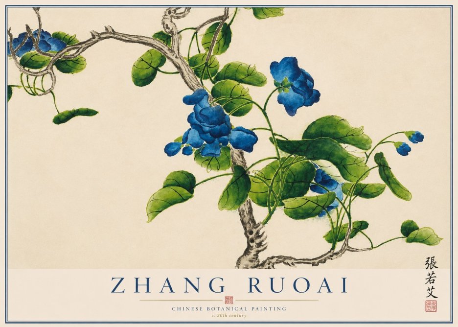 Zhang Ruoai Blue Morning Glories No1 - Plakat