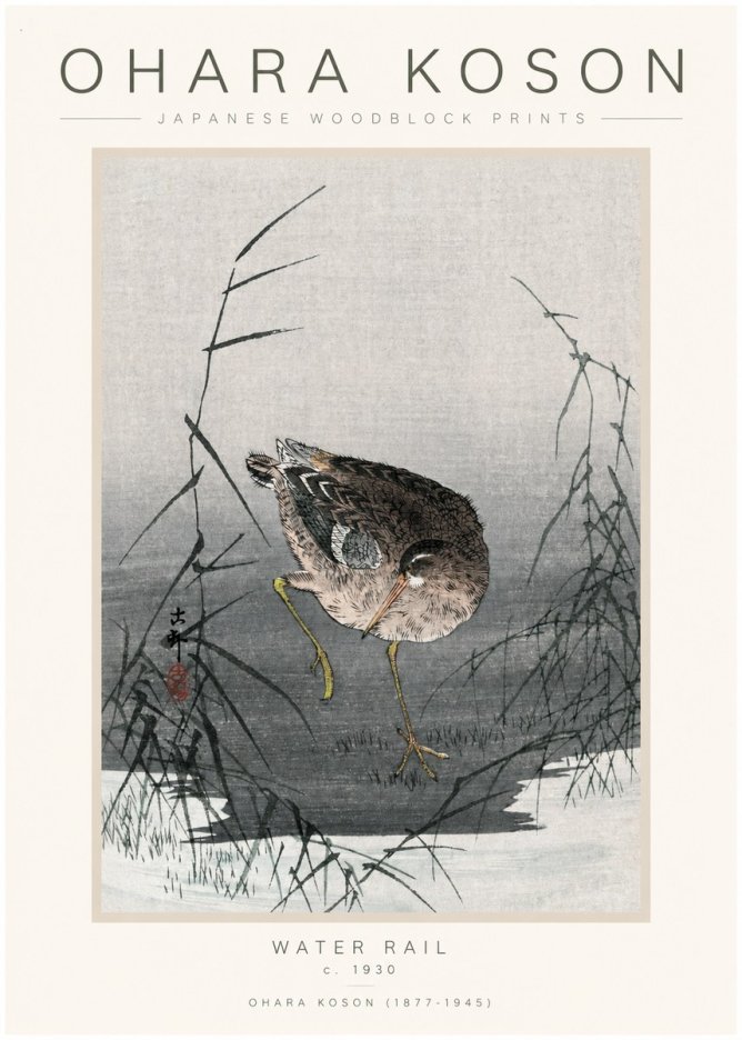 Ohara Koson Water Rail No1 - Plakat