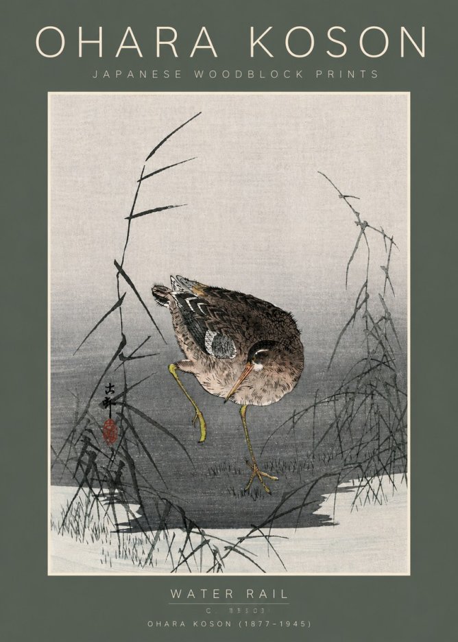 Ohara Koson Water Rail No5 - Plakat