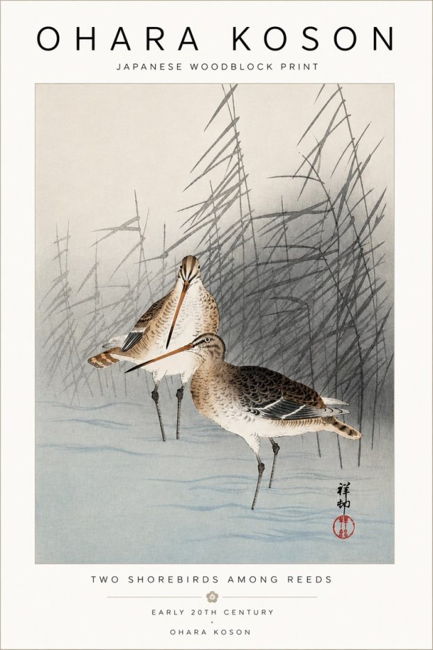 Ohara Koson Snipe in the Reeds No5 - Plakat