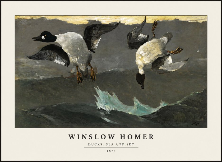 Winslow Homer Ducks, Sea and Sky No1 - Plakat