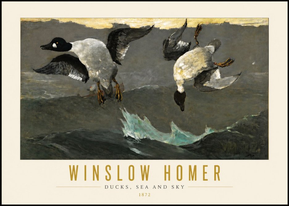 Winslow Homer Ducks, Sea and Sky No4 - Plakat
