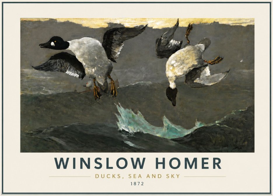 Winslow Homer Ducks, Sea and Sky No5 - Plakat