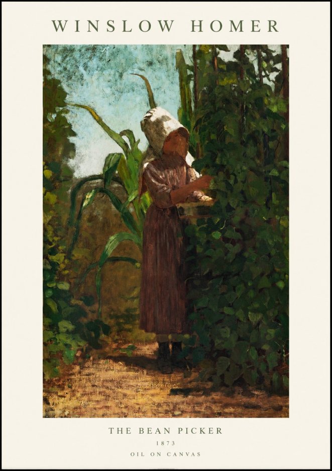 Winslow Homer The Bean Picker No1 - Plakat