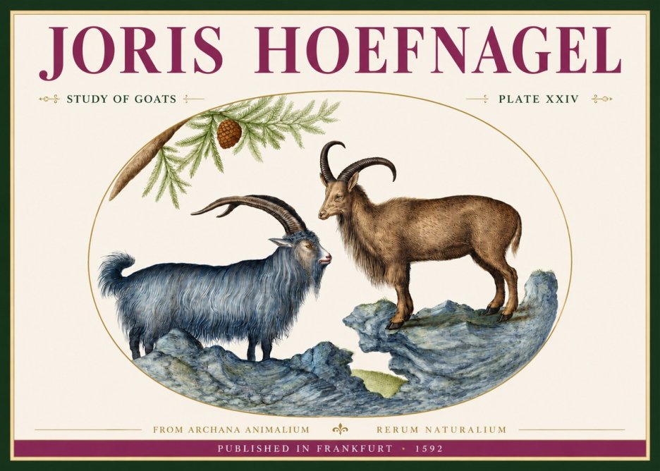 Joris Hoefnagel Two Mountain Goats from the Series Quadrupeds No4 - Plakat