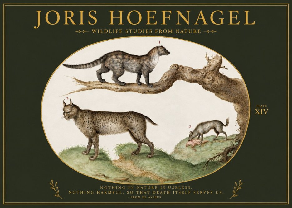 Joris Hoefnagel Wildlife Studies from Nature - Plate Xiv No2 - Plakat