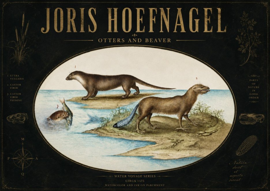 Joris Hoefnagel The Four-footed Creatures No4 - Plakat
