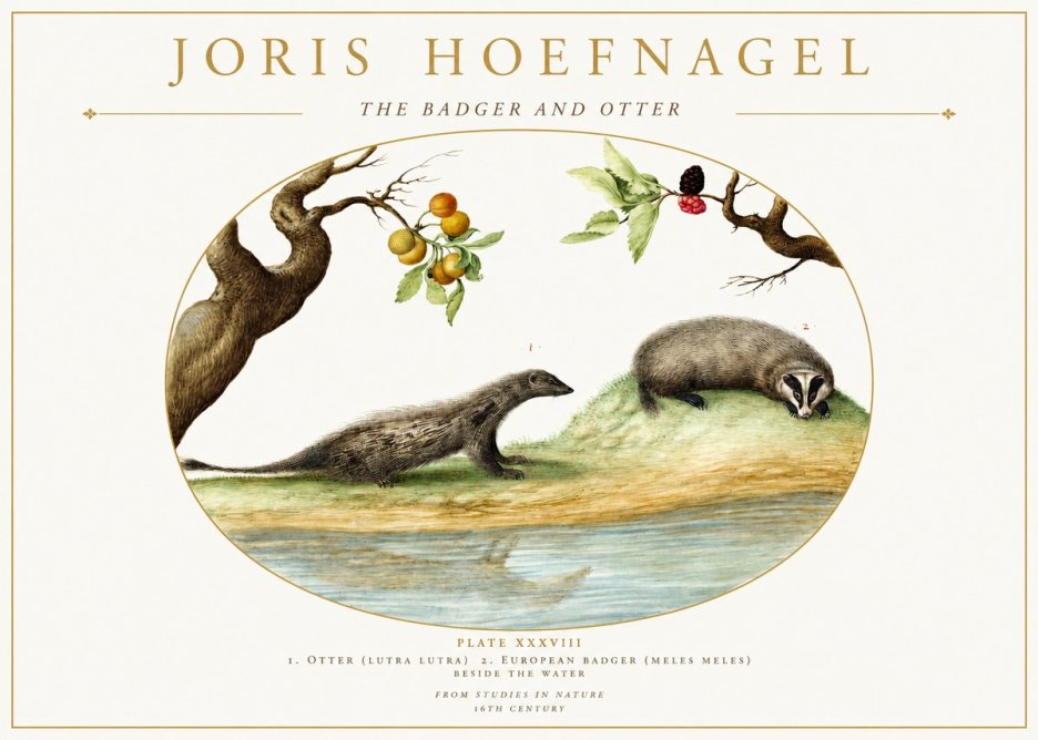 Joris Hoefnagel Studies of Animals and Nature Xxxxiii No2 - Plakat