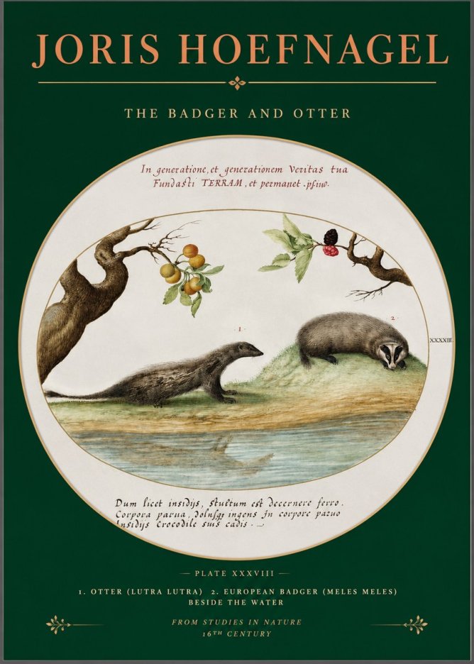 Joris Hoefnagel Studies of Animals and Nature Xxxxiii No3 - Plakat