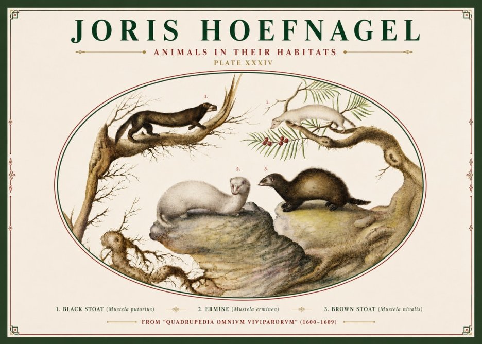 Joris Hoefnagel Animals in Their Habitats Plate Xxxiv No3 - Plakat