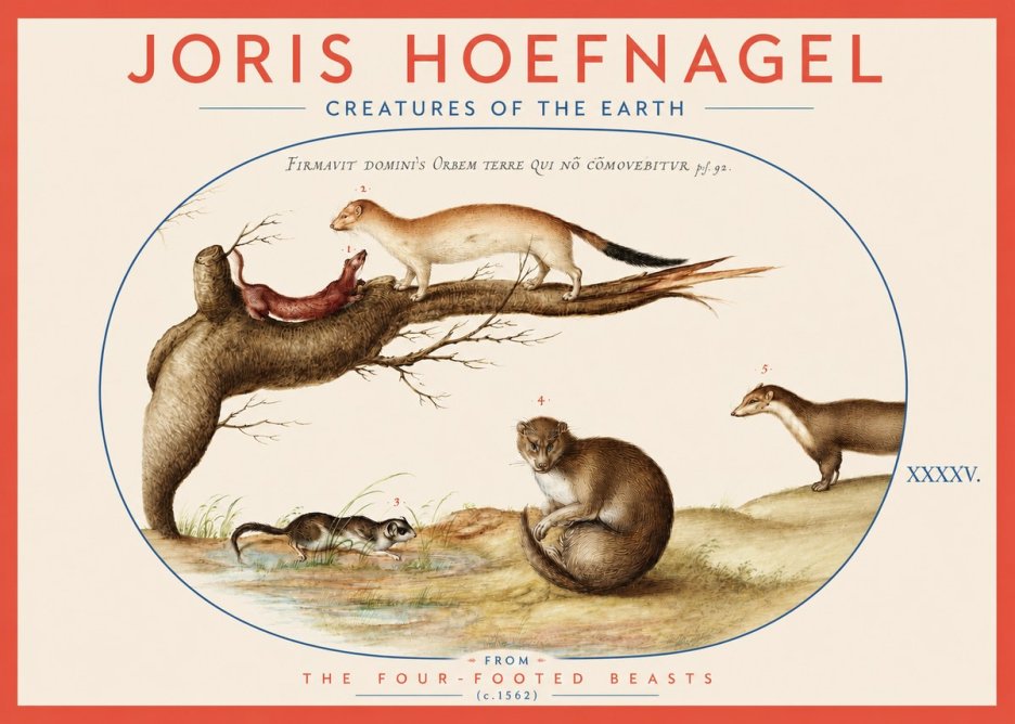 Joris Hoefnagel Creatures of the Earth I No3 - Plakat