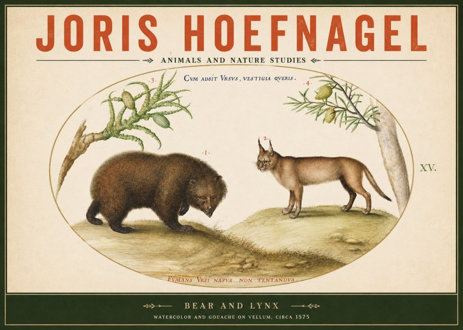 Joris Hoefnagel Bear and Lynx No2 - Plakat