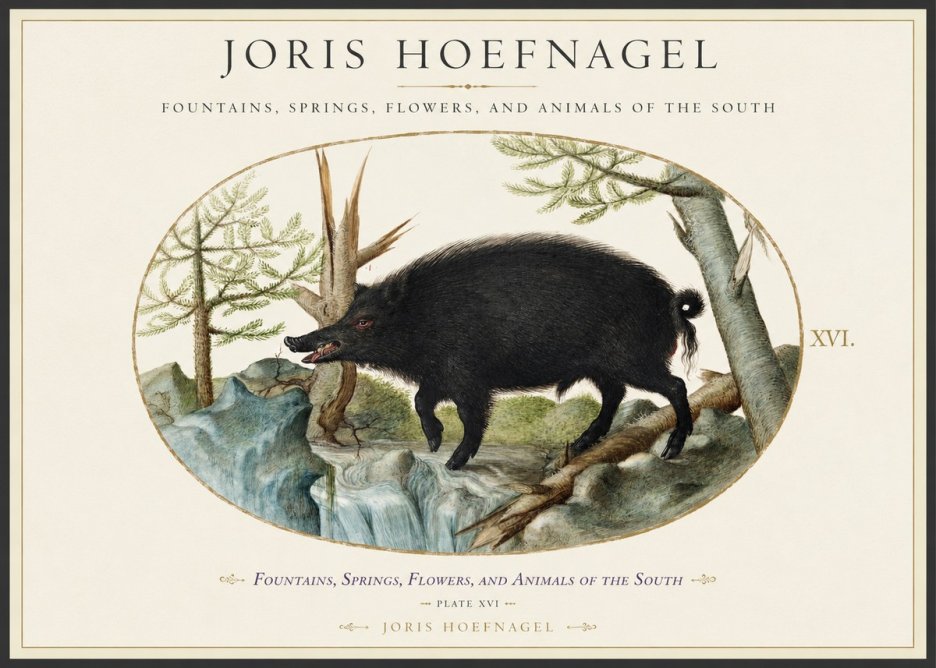 Joris Hoefnagel Fountains, Springs, Flowers, and Animals of the South - Plate Xvi No1 - Plakat