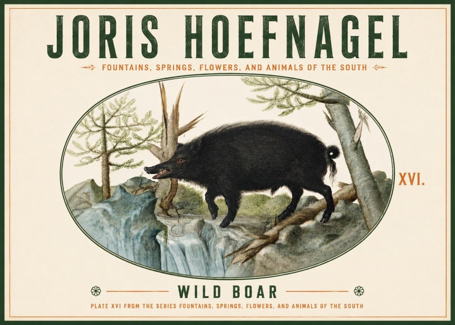 Joris Hoefnagel Fountains, Springs, Flowers, and Animals of the South - Plate Xvi No4 - Plakat