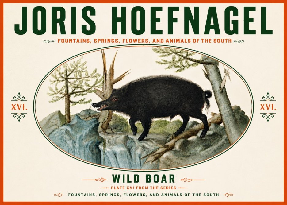 Joris Hoefnagel Fountains, Springs, Flowers, and Animals of the South - Plate Xvi No6 - Plakat