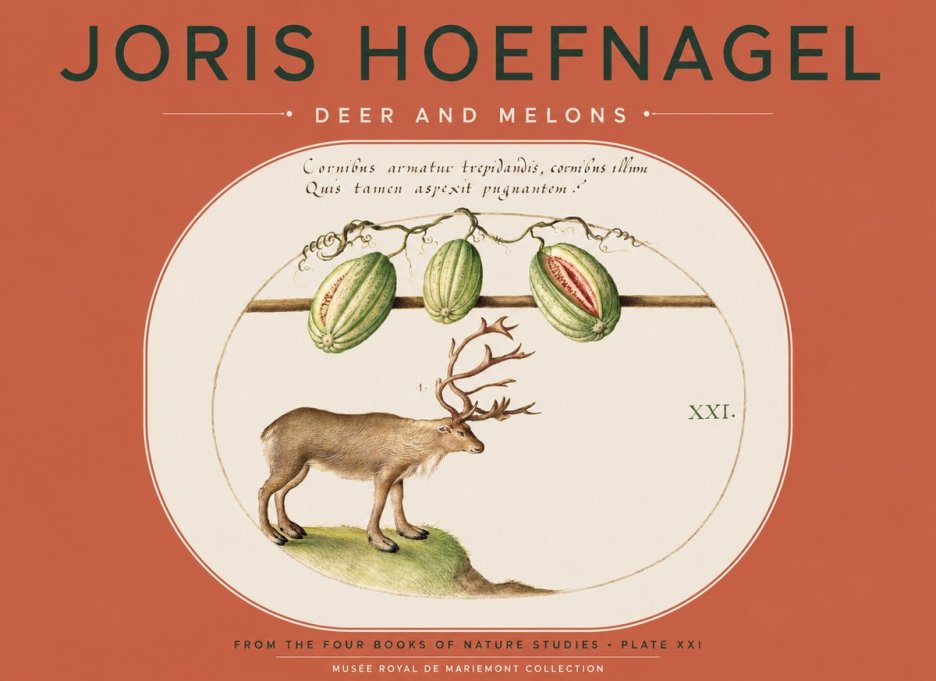 Joris Hoefnagel Arctic Nature Study No5 - Plakat