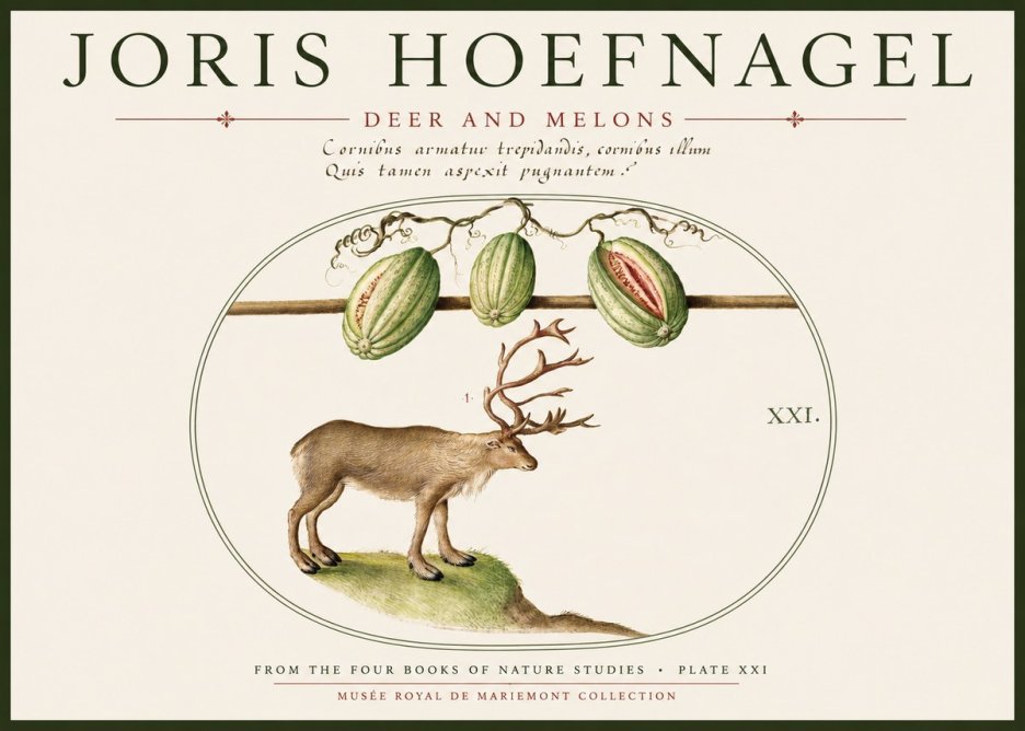 Joris Hoefnagel Arctic Nature Study No6 - Plakat