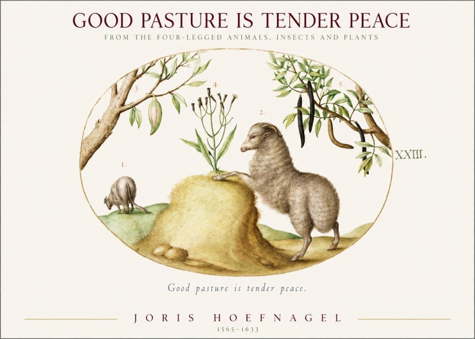 Joris Hoefnagel Good Pasture Is Tender Peace. No1 - Plakat