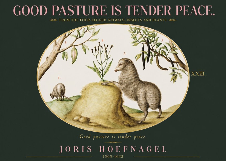 Joris Hoefnagel Good Pasture Is Tender Peace. No3 - Plakat
