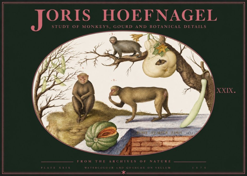 Joris Hoefnagel But Always a Monkey, Always a Monkey. Plate Xxix No3 - Plakat