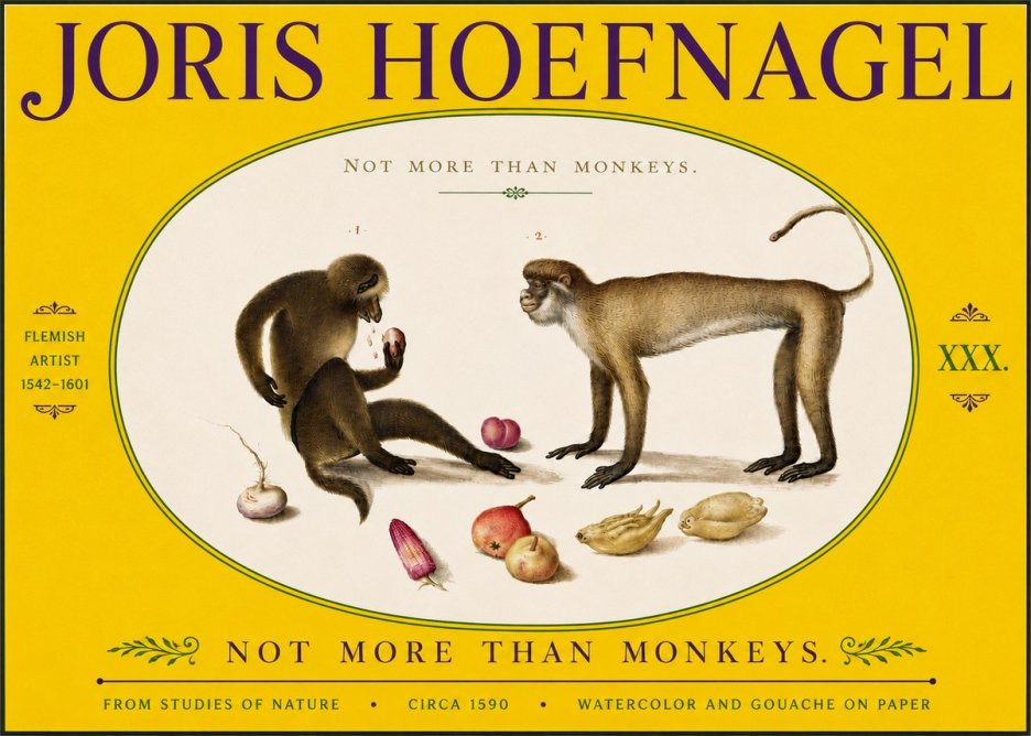 Joris Hoefnagel Not More Than Monkeys No5 - Plakat
