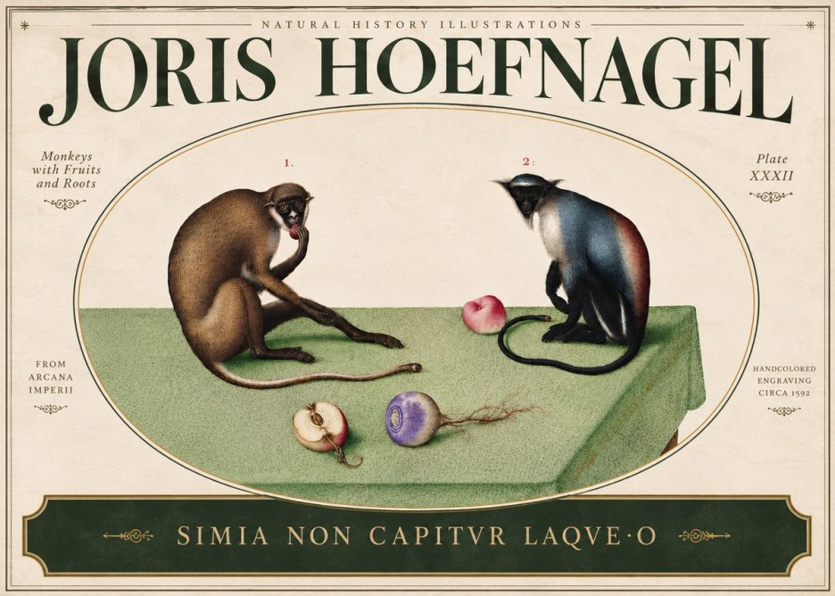 Joris Hoefnagel Monkeys with Fruits and Roots No5 - Plakat